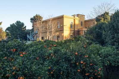 Bari, in via Ulpiani si staglia un edificio neoclassico circondato da un agrumeto: � la sede del "Crea"